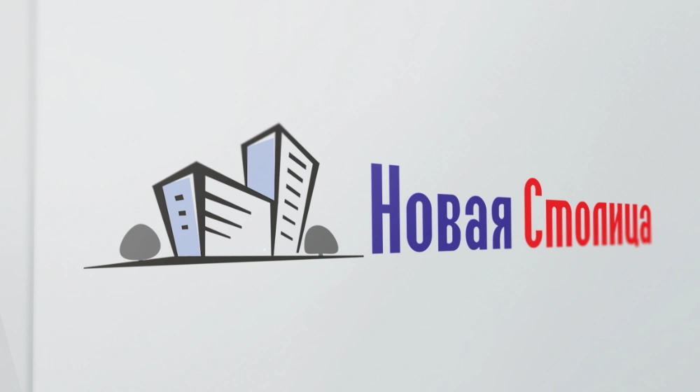 Обложка работы «Разработка логотипа Новая Столица»